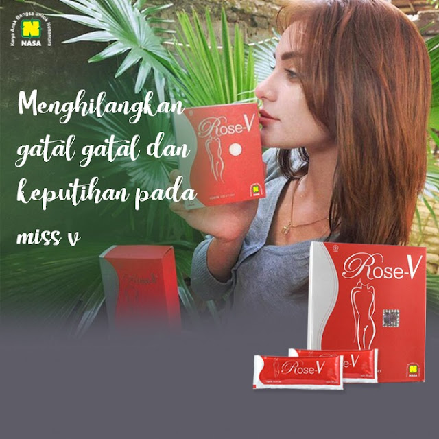 harga resmi rose v nasa harga resmi rose v nasa