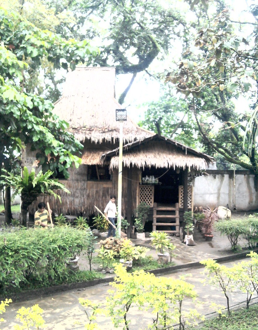 Metatraveller Baler, Aurora