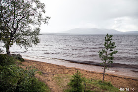 Pallasjärvi, taustalla siintää Pallas