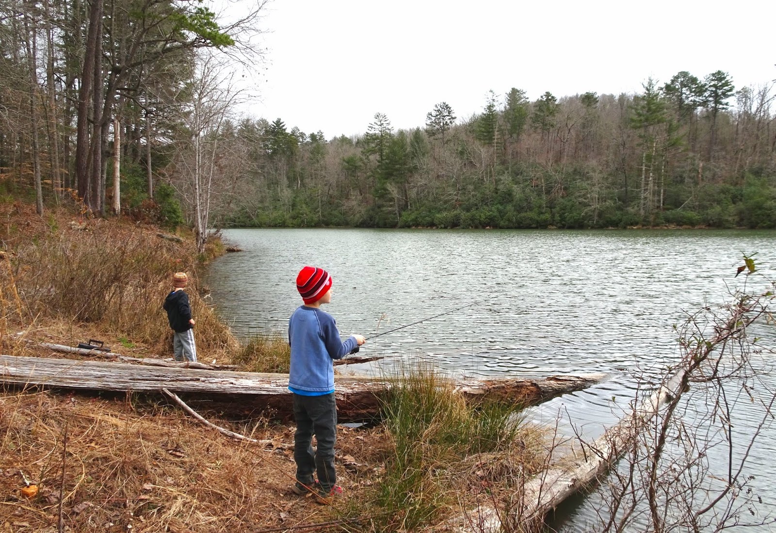 Femme au foyer Tall Pines Wildlife Management Area