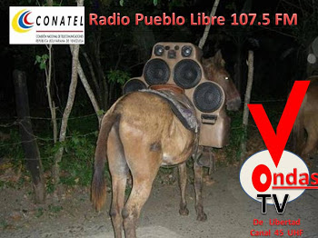 Radio Pueblo 107.5 FM