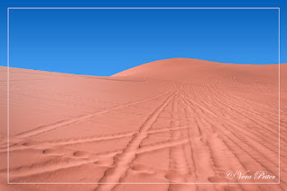 Pink Sand Dunes