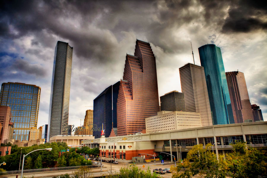 Texas A&M University Press: Houston’s History Untold?