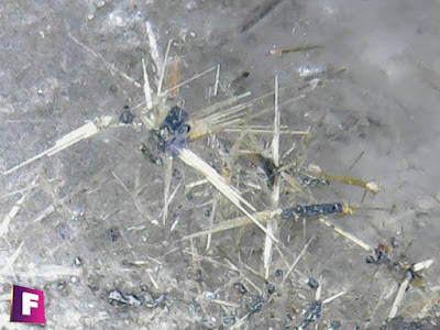 cuarzo-rutilado-mineral-bajo-el-microscopio