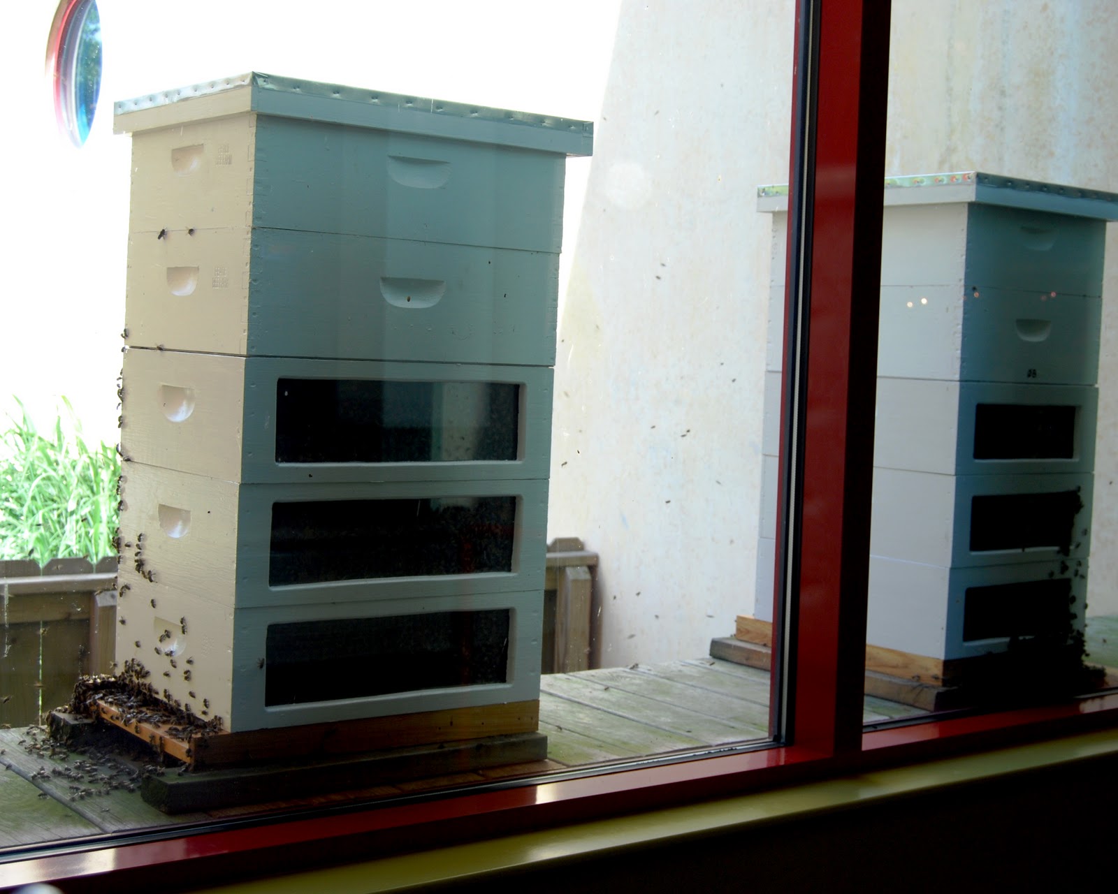 automatic bee hives automatic bee hives