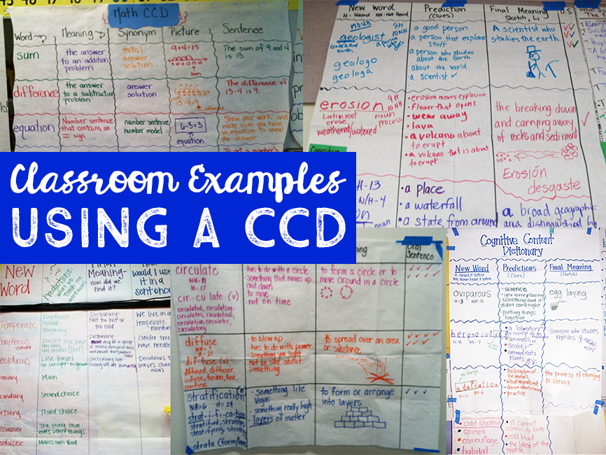 Classroom Examples Using a CCD