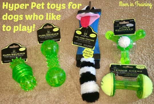 hyper pet toys