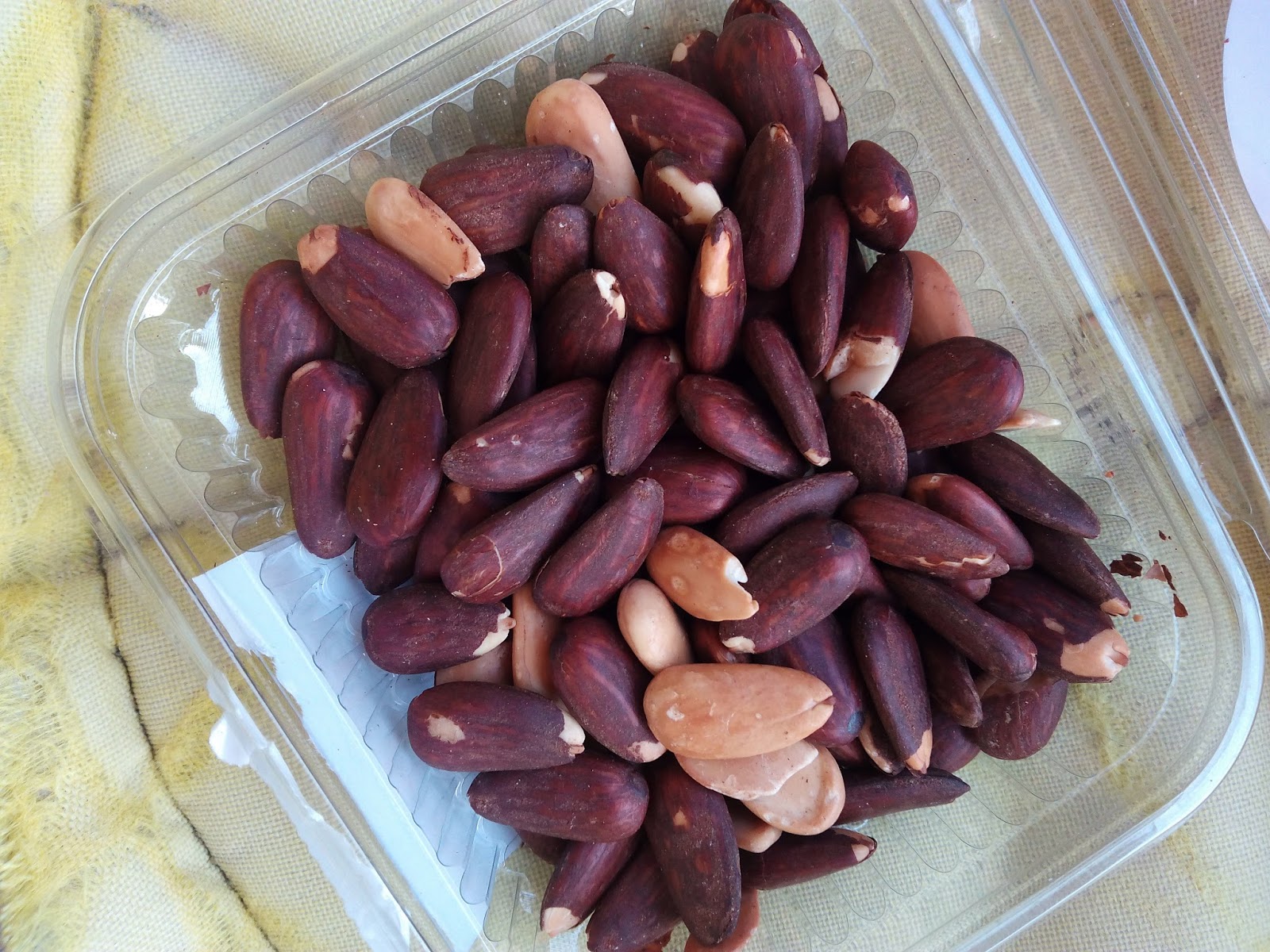 La buscadora de Crazy Nuts es tu sitio de confianza para