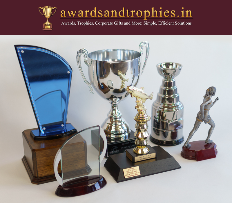 Awards and Trophy Cups India's Best Design Awards and Trophies