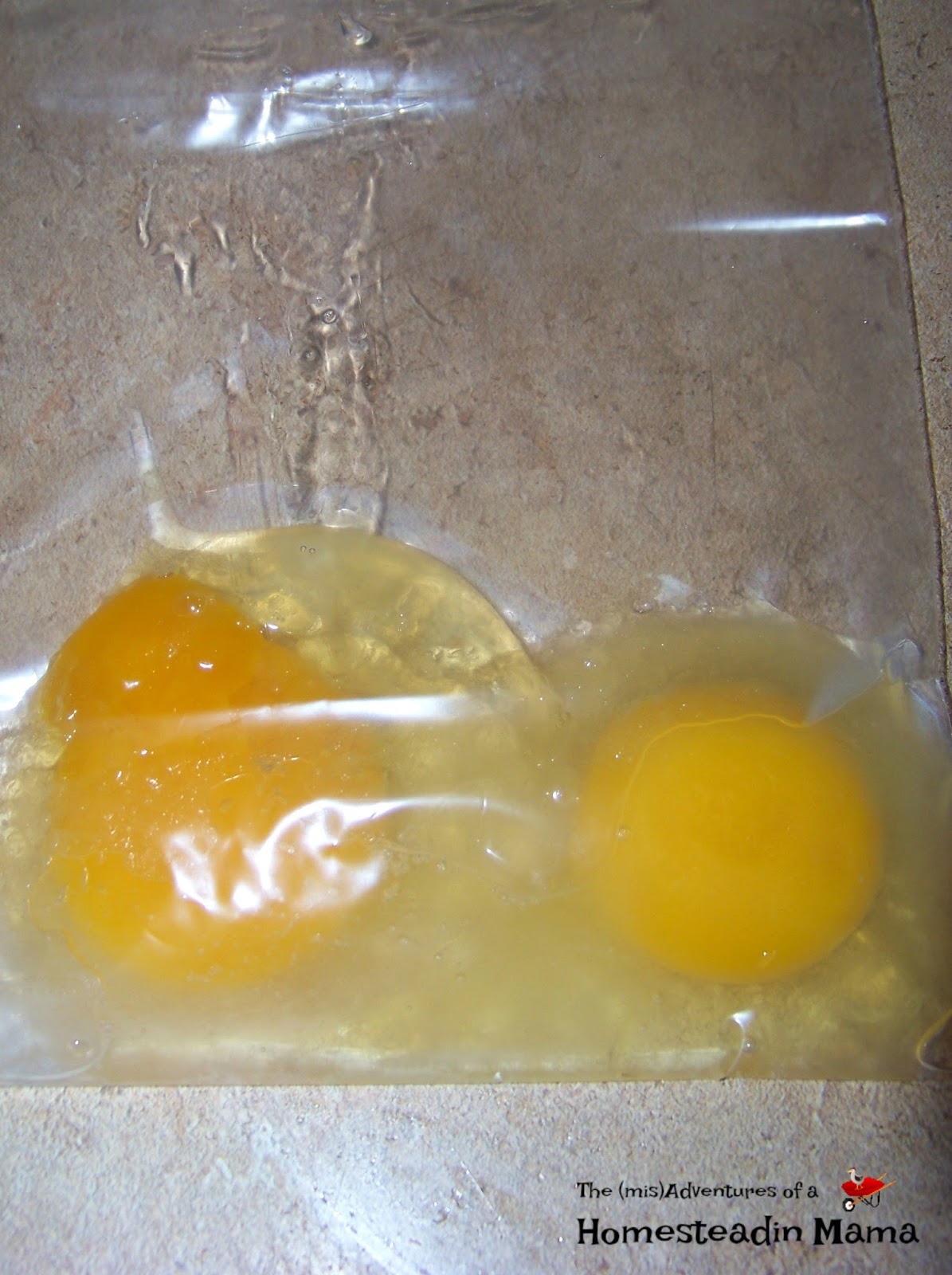 Keep Eggs From Freezing (And what to do with them if they do!) The