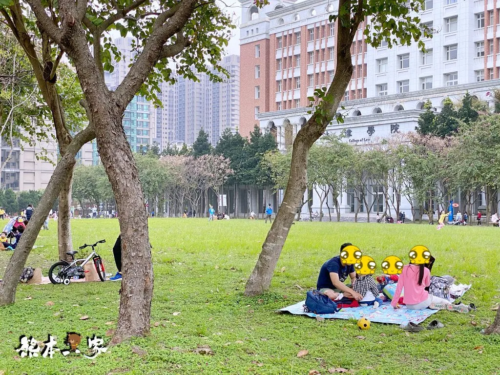 228連假三峽北大賞櫻花兼野餐親子半日遊|賞花點不少值得散步走走喔