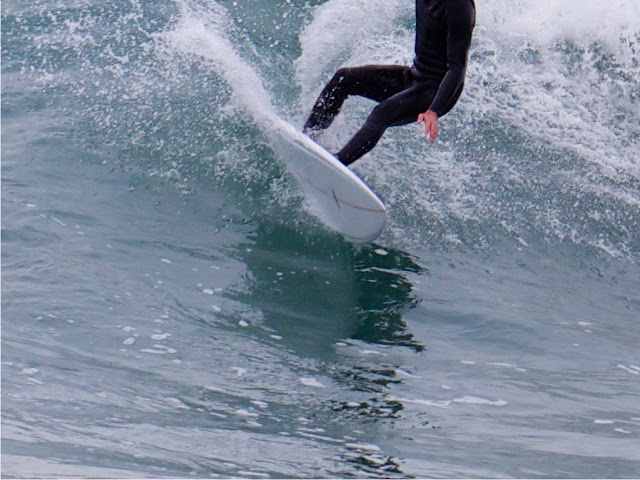 Copyright Surfin Estate ©