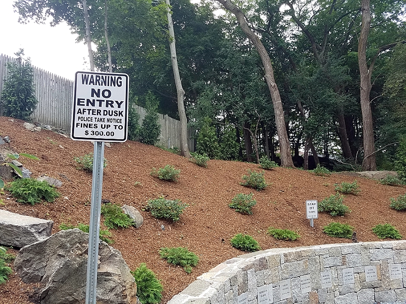 OTIS (Odd Things I've Seen) Hanged Here The Salem Witch Trials