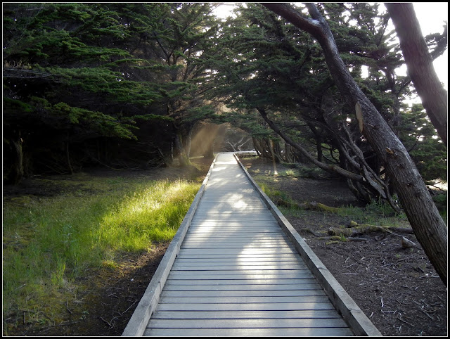Boardwalk in MacKerricher State Park in California