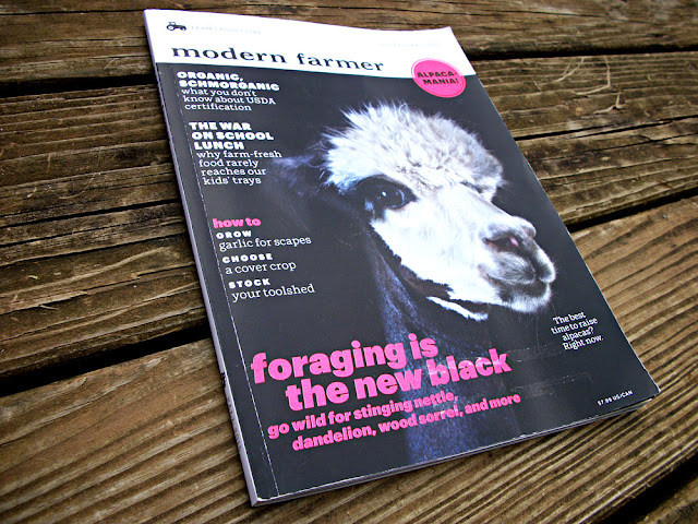 modern farmer magazine