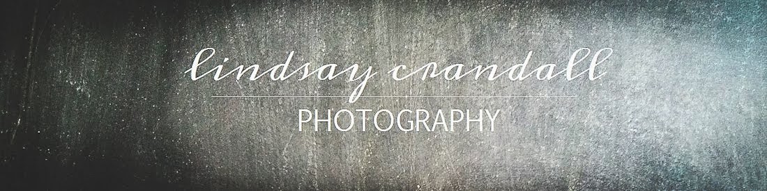 Lindsay Crandall Photography | Rochester, NY Creative Family, Children, Senior Photographer