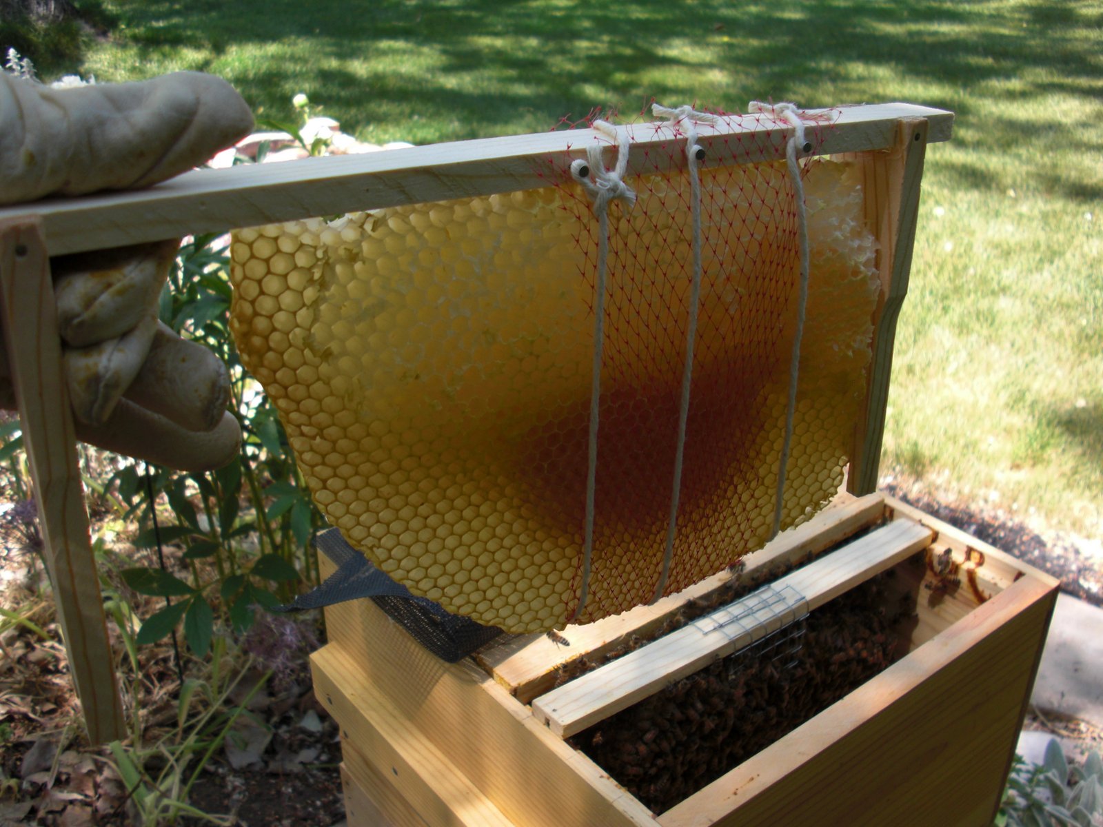 Backyard Bee Hive Blog Horizontal TBH vs. Vertical Top Bar Hive (Warré)