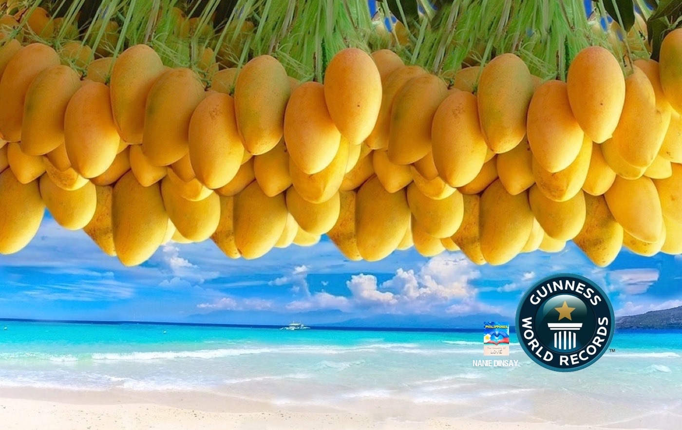 WORLD'S SWEETEST MANGO AND SWEETEST FRUIT PHILIPPINE CARABAO MANGO