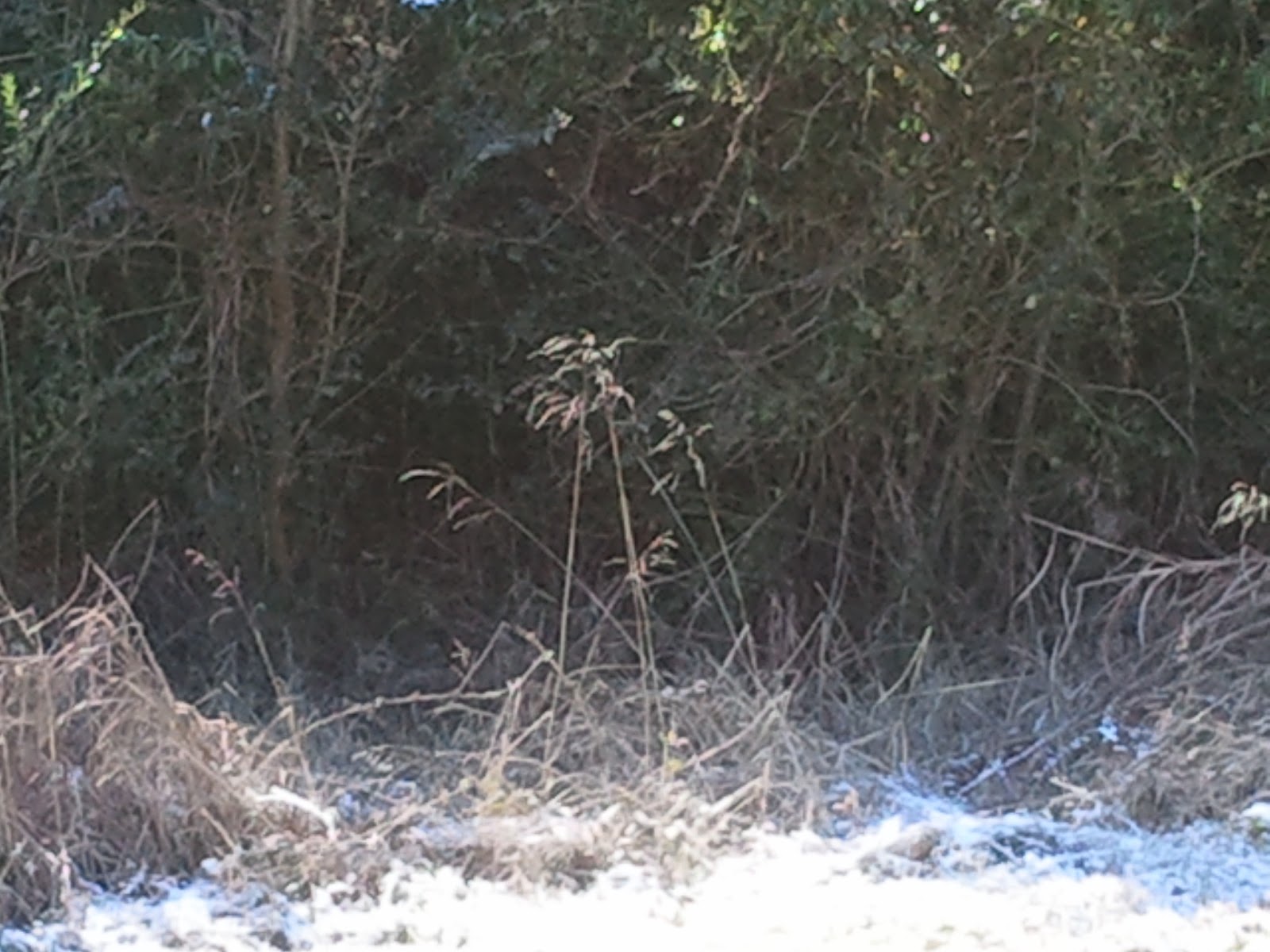 Simpler Times Game Trails, part 1