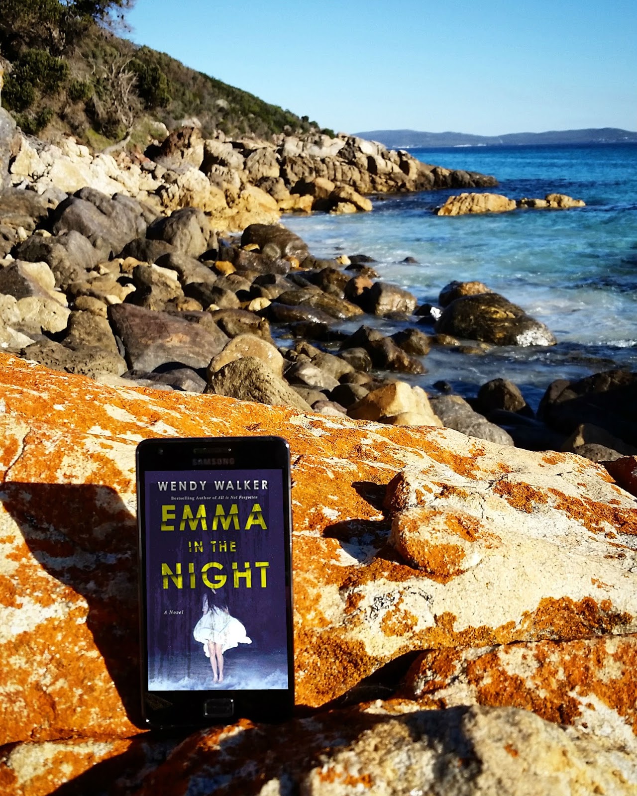 but books are better Book Review EMMA IN THE NIGHT by Wendy Walker