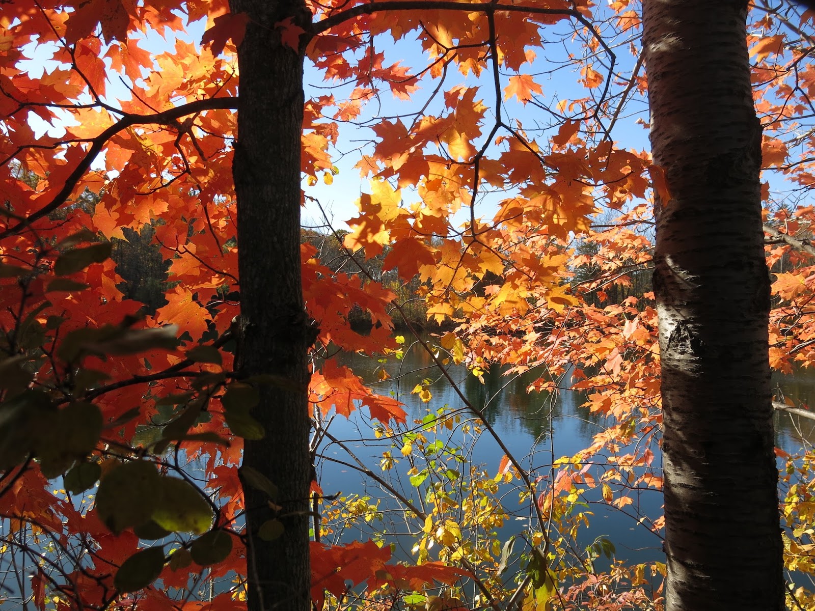 Kalamazoo Seasons Fall Events 2016 kalamazoo-seasons-fall-events-2016