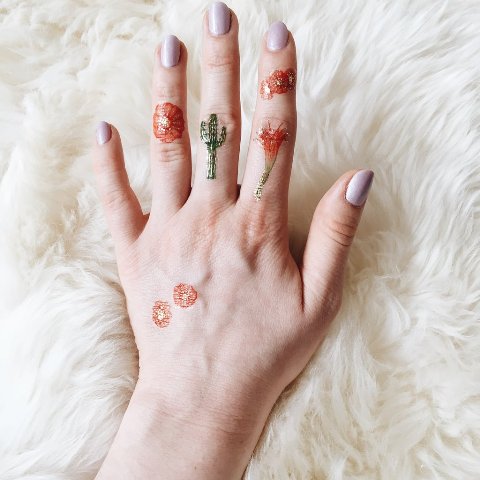 Tatuagens de cactos para as meninas Tatuagens de cactos para as meninas