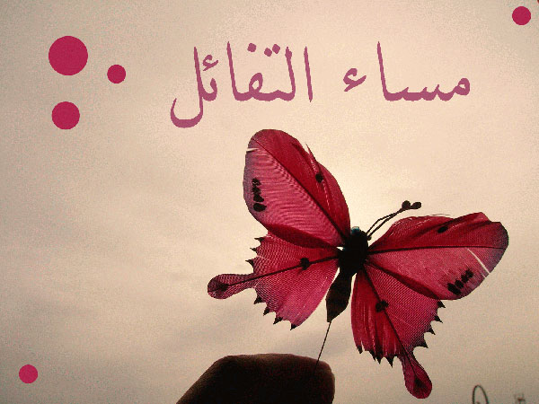 صور مساء الخير