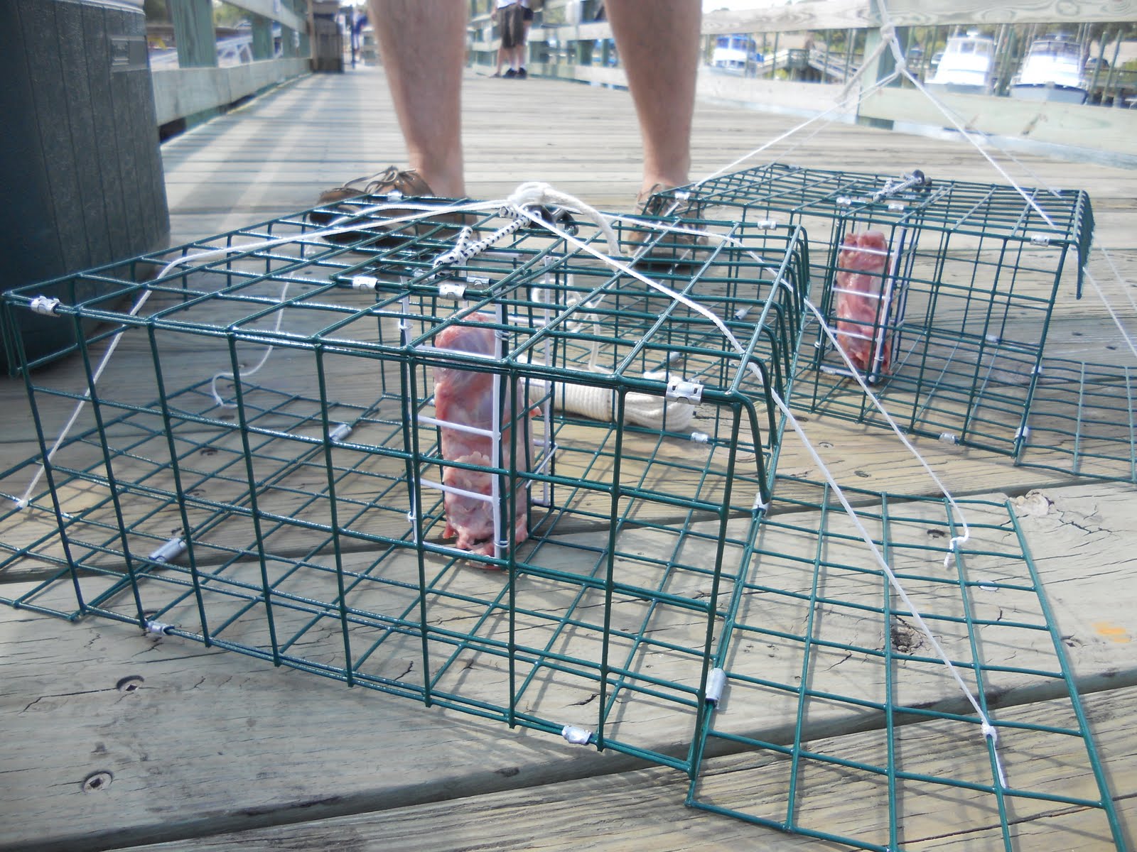 CRABBIN it up in Murrells Inlet ~ The Fishing Adventures of [ntizda]