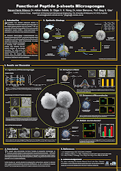 poster conference scientific presentation research template posters medical layout academic powerpoint science designs graphic presentations steven wibowo harris affinity templates