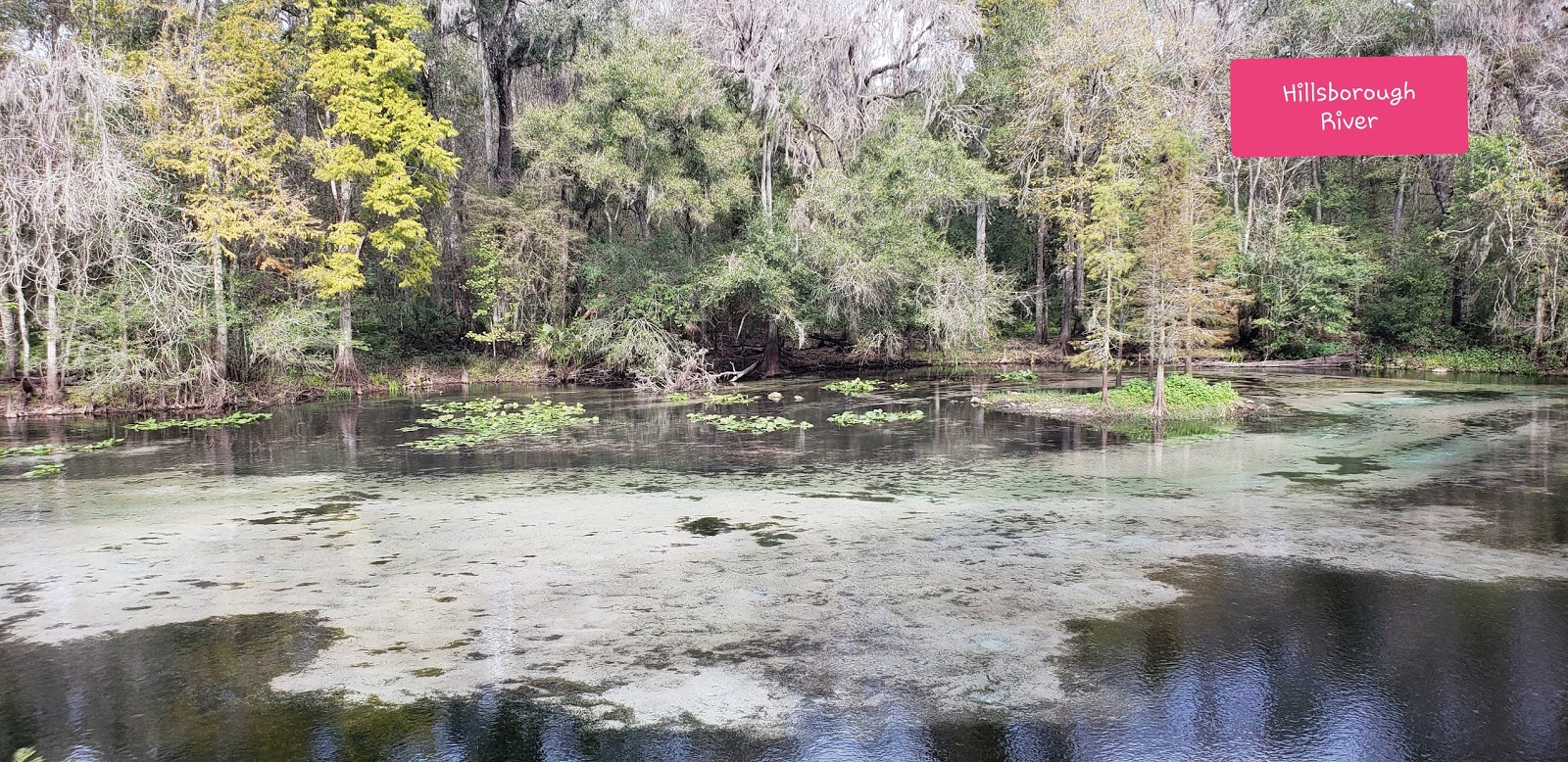 Chaotic Mama's Life Crystal Springs Preserve