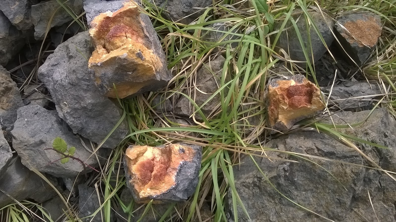 Buy Terra Argillosa Petì Verdò 2013 750ml Online @Lowest Price - Foto 10