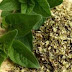 Benefits of Oregano Leaves for Cough (Scientifically Proven)