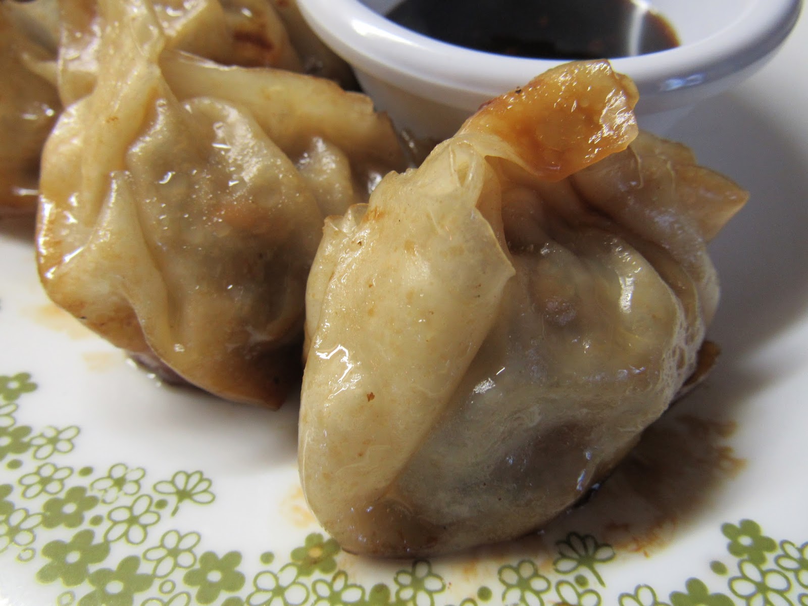 Dicky Bird's Nest Ground Beef Chinese Dumplings