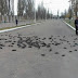 Extraña muerte de miles de aves en la ciudad de Izmail en Ucrania