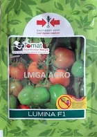 Benih tomat, tomat lumina F1,Benih tomat Lumina F1,tahan virus,produk cap panah merah,panah merah
