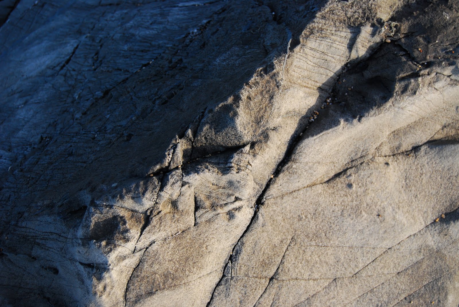 ENGAGING LANDSCAPE: Textures within the Landscape
