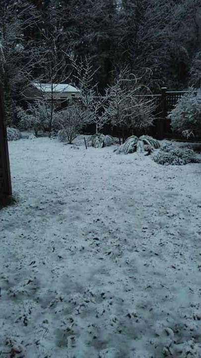 101 epic gifts for vegans and raw vegans Wanderlust Vegans are Home for the Holidays