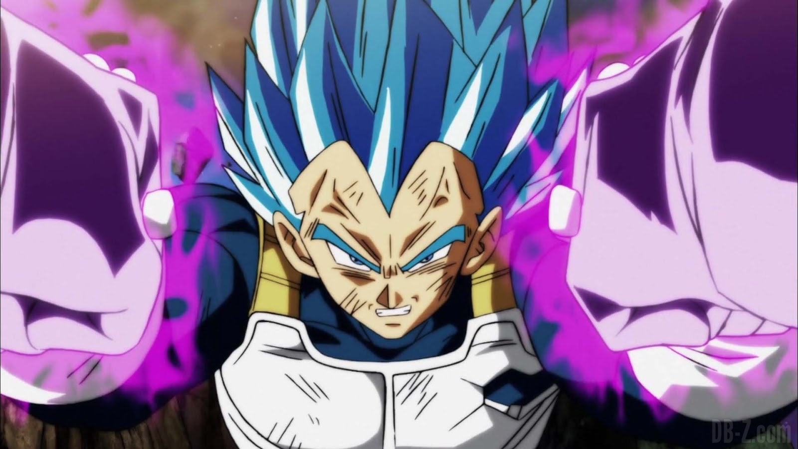 VEGETA SUPER SAIYAN GOD SUPER SAIYAN EVOLUTION EXPLAINED