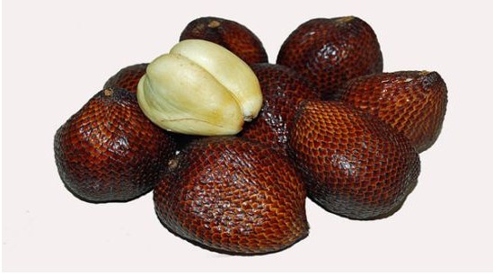Buah Salak merupakan salah satu buah yang memiliki ciri khas tersendiri contohnya buah sal Buah Salak dan Jenis-jenisnya