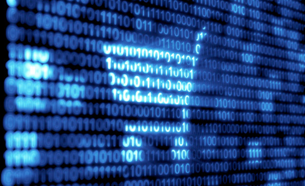 La Importancia de los Datos