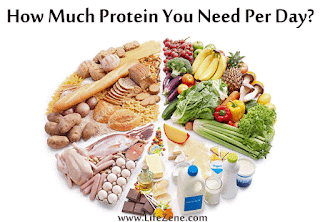 How Many Grams of Protein You Need Everyday?