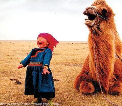 Funny baby and camel.