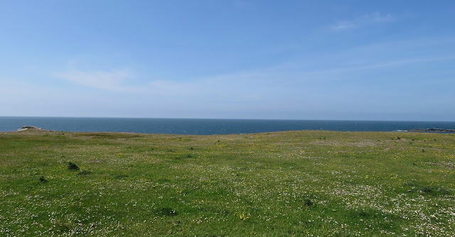 Bardsey Island, Wales