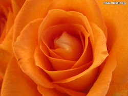 roses orange background flower flowers bright sacral healing rose bunga lap posted ii self chakra iii valley yellow unknown leblanc