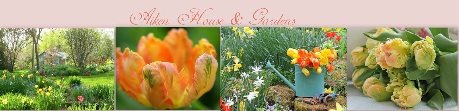 Aiken House & Gardens