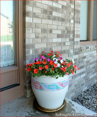 Flowering plants by the front door in the end of June | www.BakingInATornado.com 