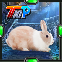 Top10NewGames Rescue The Rabbit