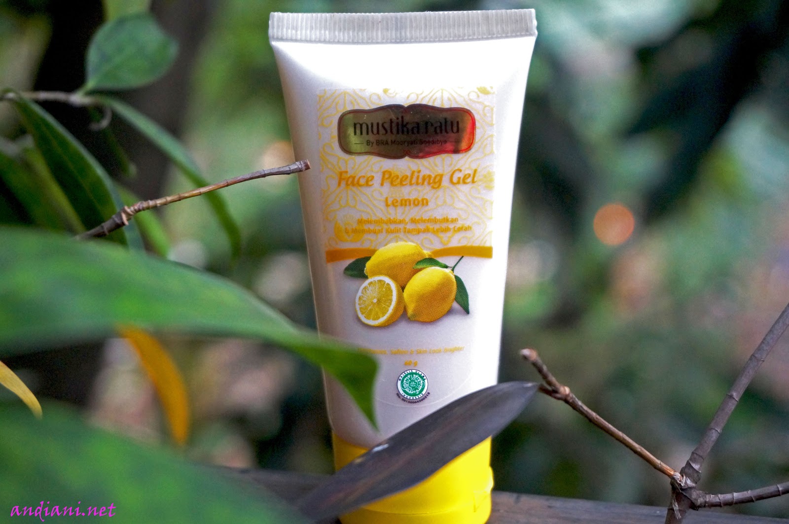 Andiani's Beauty Journal Indonesian Beauty Blogger Review Mustika