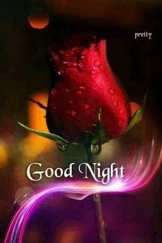 good night sweet dreams