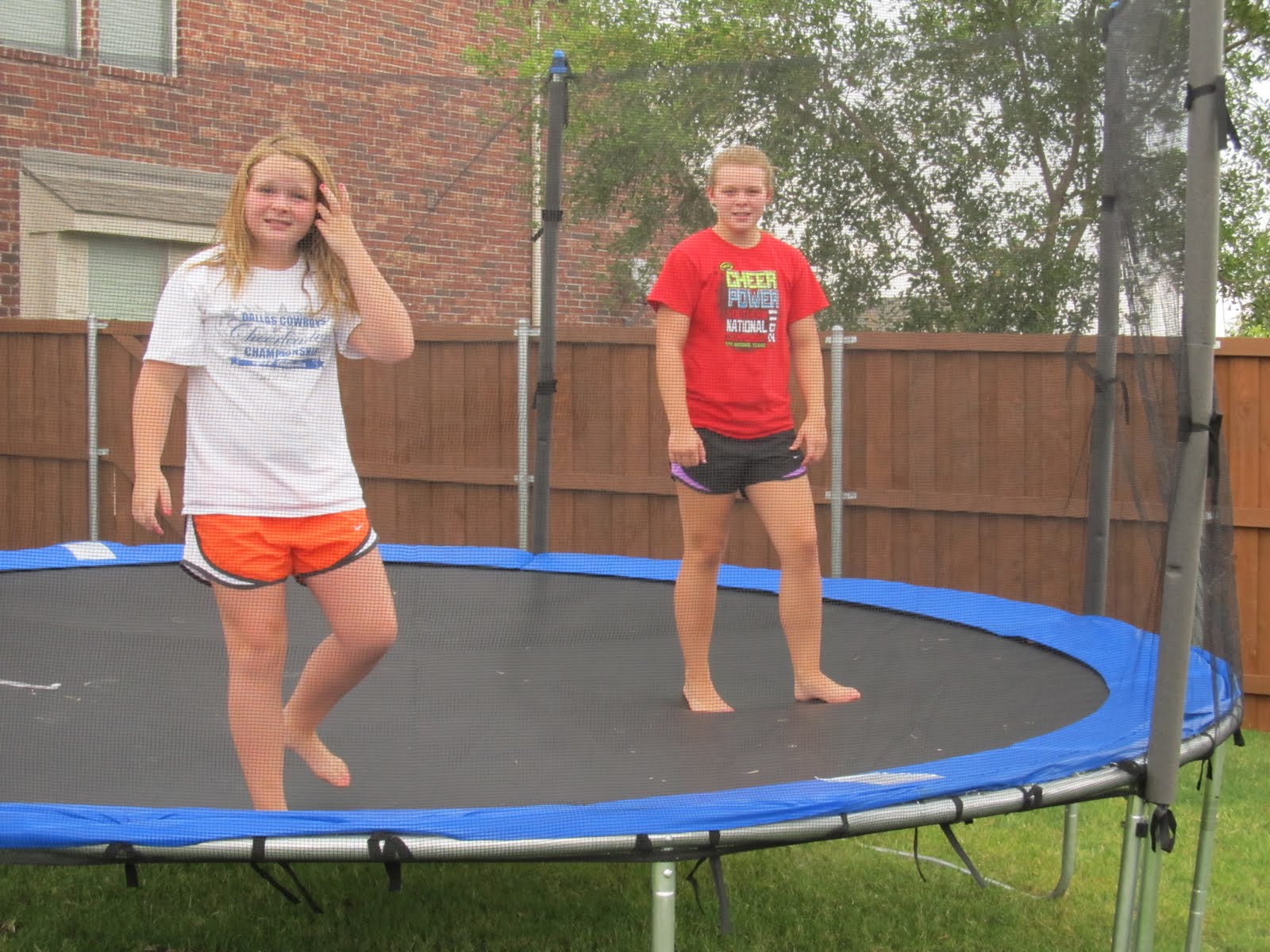 Cori Ann's Creative Living: Trampoline: Before & After, or DIY